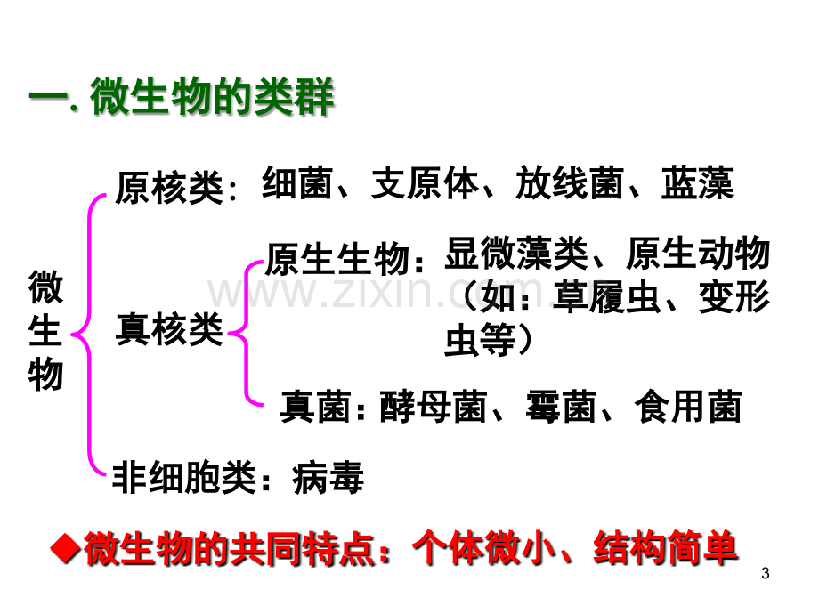 微生物的实验室培养-公开课(课堂PPT).ppt_第3页