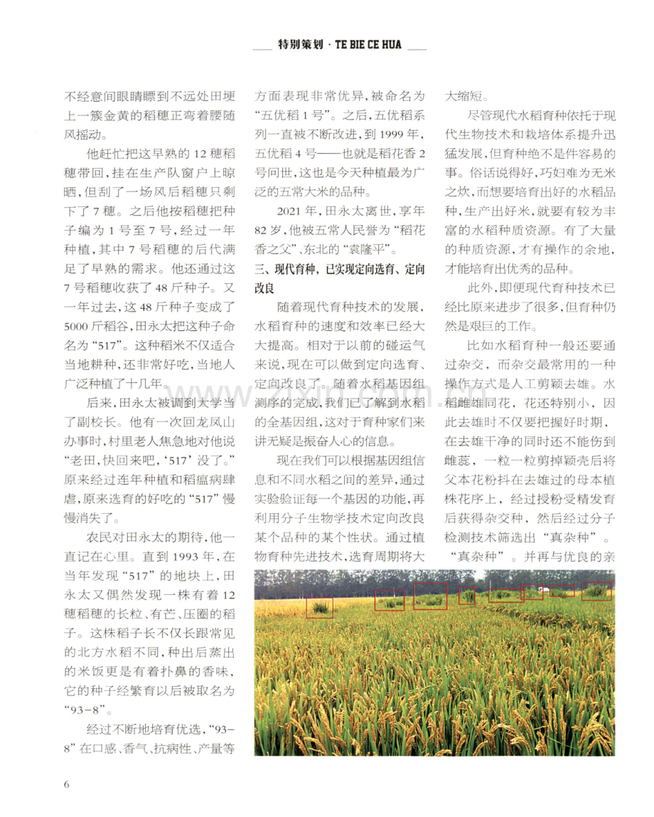 五常大米到底是什么米.pdf_第3页