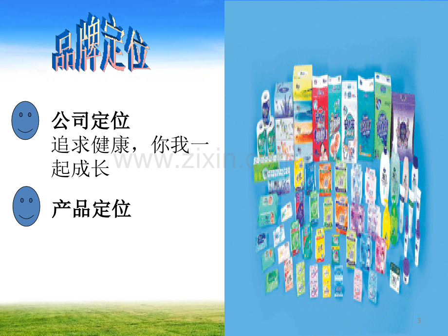 恒安集团战略品牌管理流程.ppt_第3页