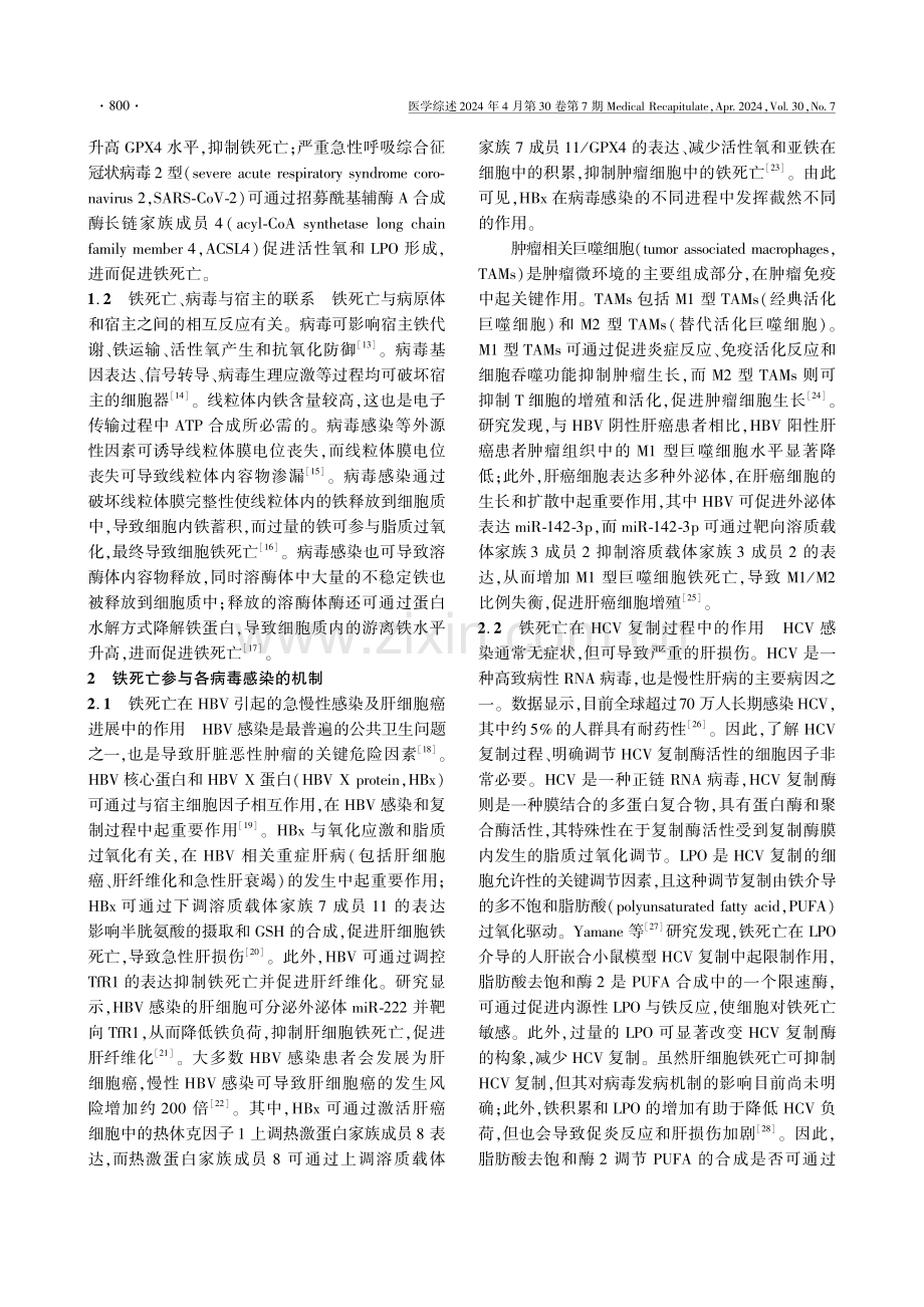 铁死亡参与病毒感染的机制研究进展.pdf_第3页