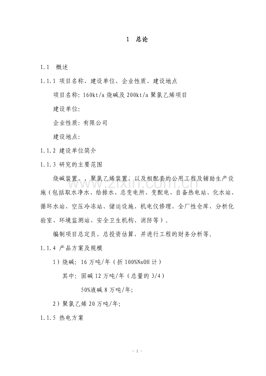 某化工企业160kta烧碱及200kta聚氯乙烯项目可行性研究报告书.doc_第2页