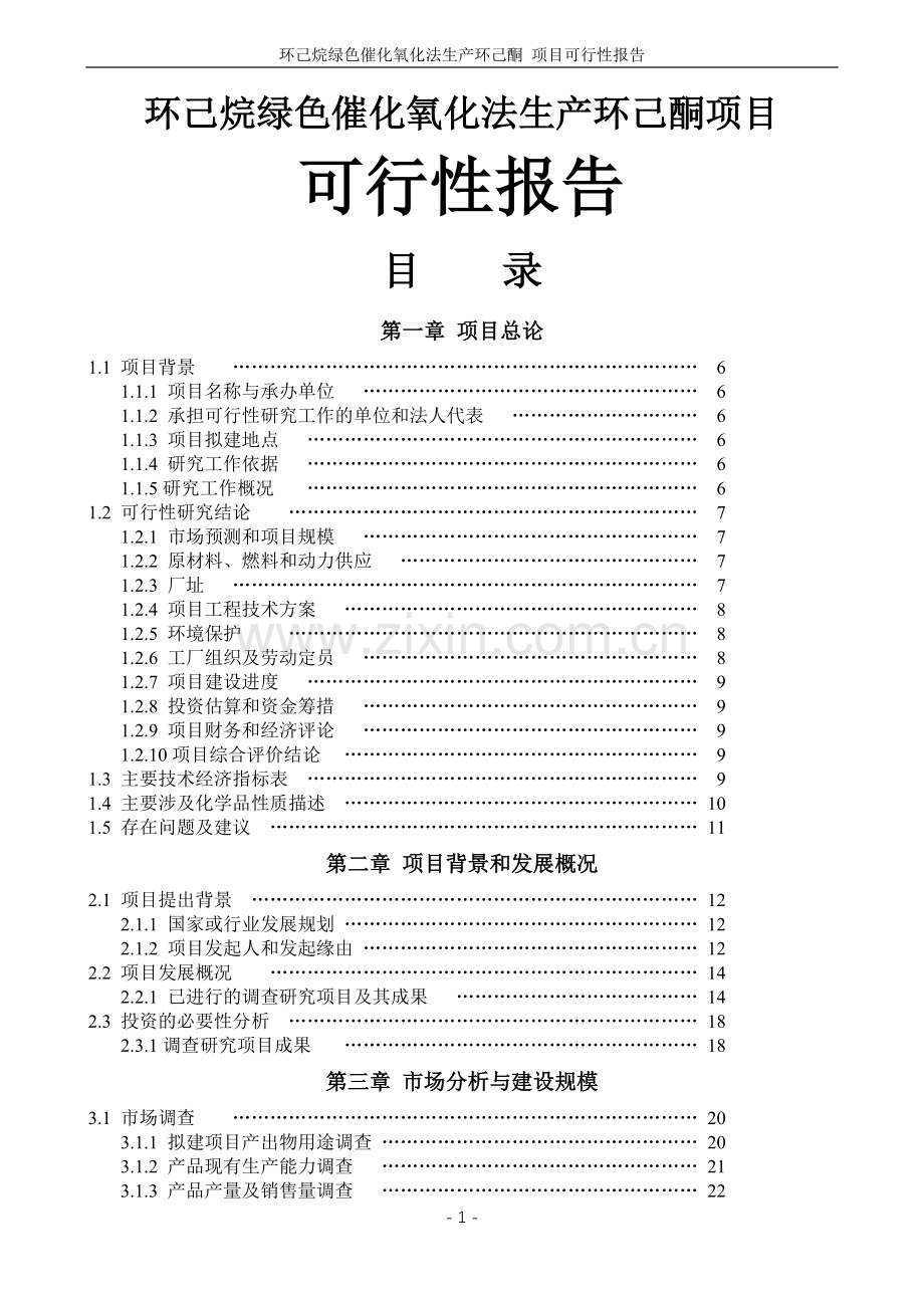 环己烷绿色催化氧化法生产环己酮项目申请建设可研报告2.doc_第1页