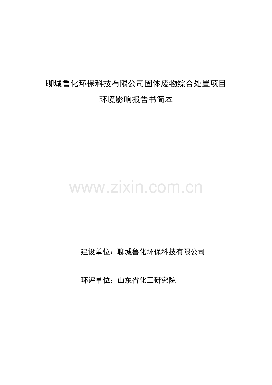 鲁化环保科技有限公司固体废物综合处理项目立项环境评估报告书.doc_第1页