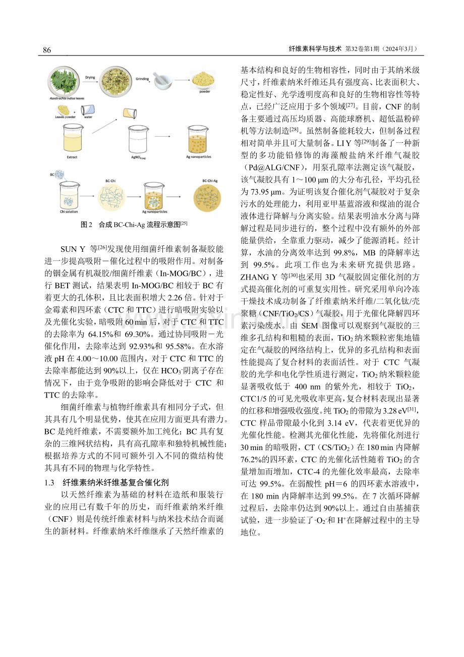 纤维素复合催化剂在降解水中污染物中的应用.pdf_第3页