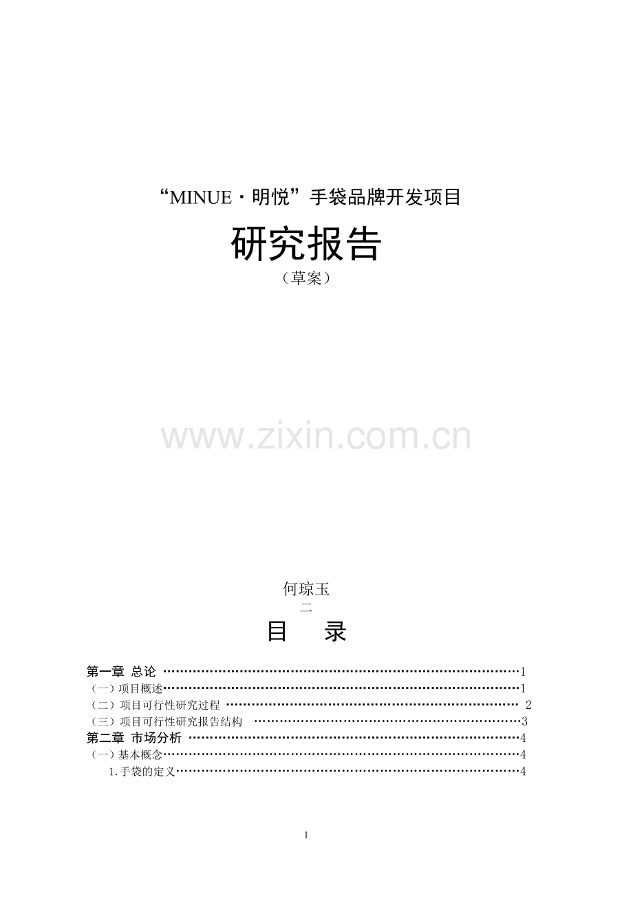 明悦手袋品牌开发项目可行性研究报告.doc_第1页