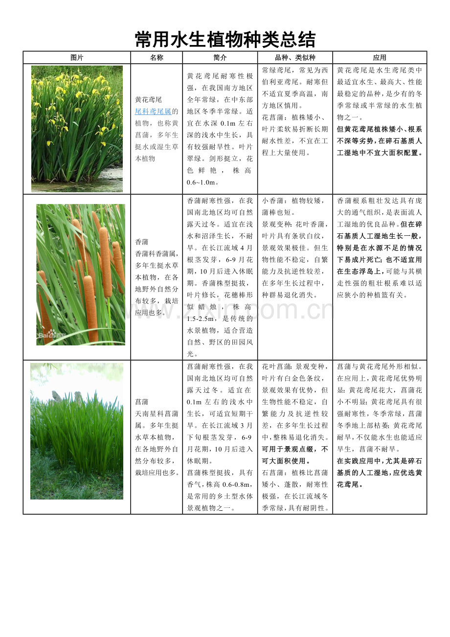 常用水生植物种类总结.doc_第1页