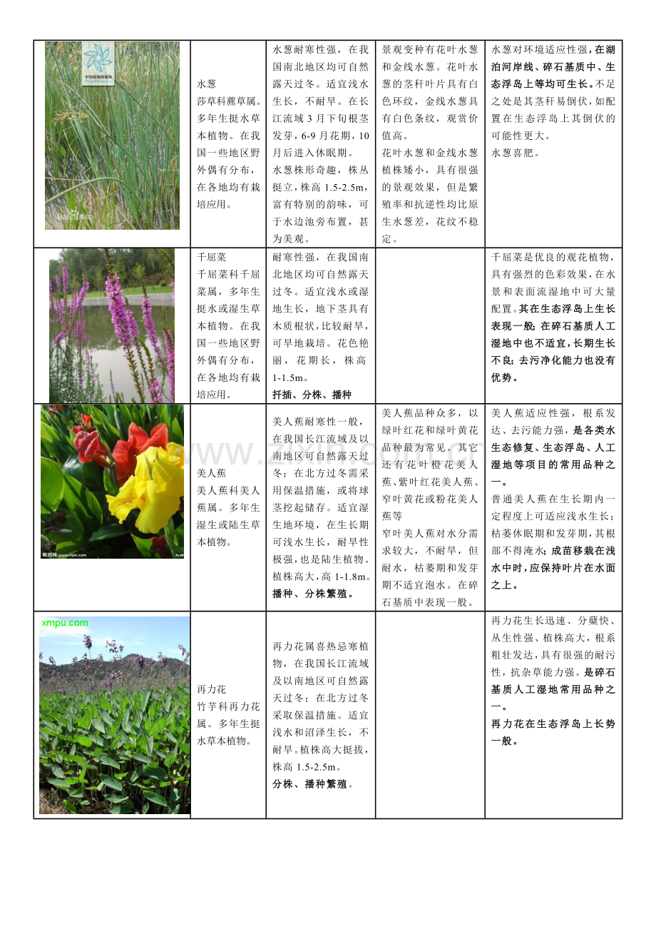 常用水生植物种类总结.doc_第2页