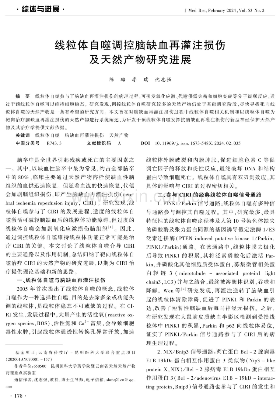 线粒体自噬调控脑缺血再灌注损伤及天然产物研究进展.pdf_第1页