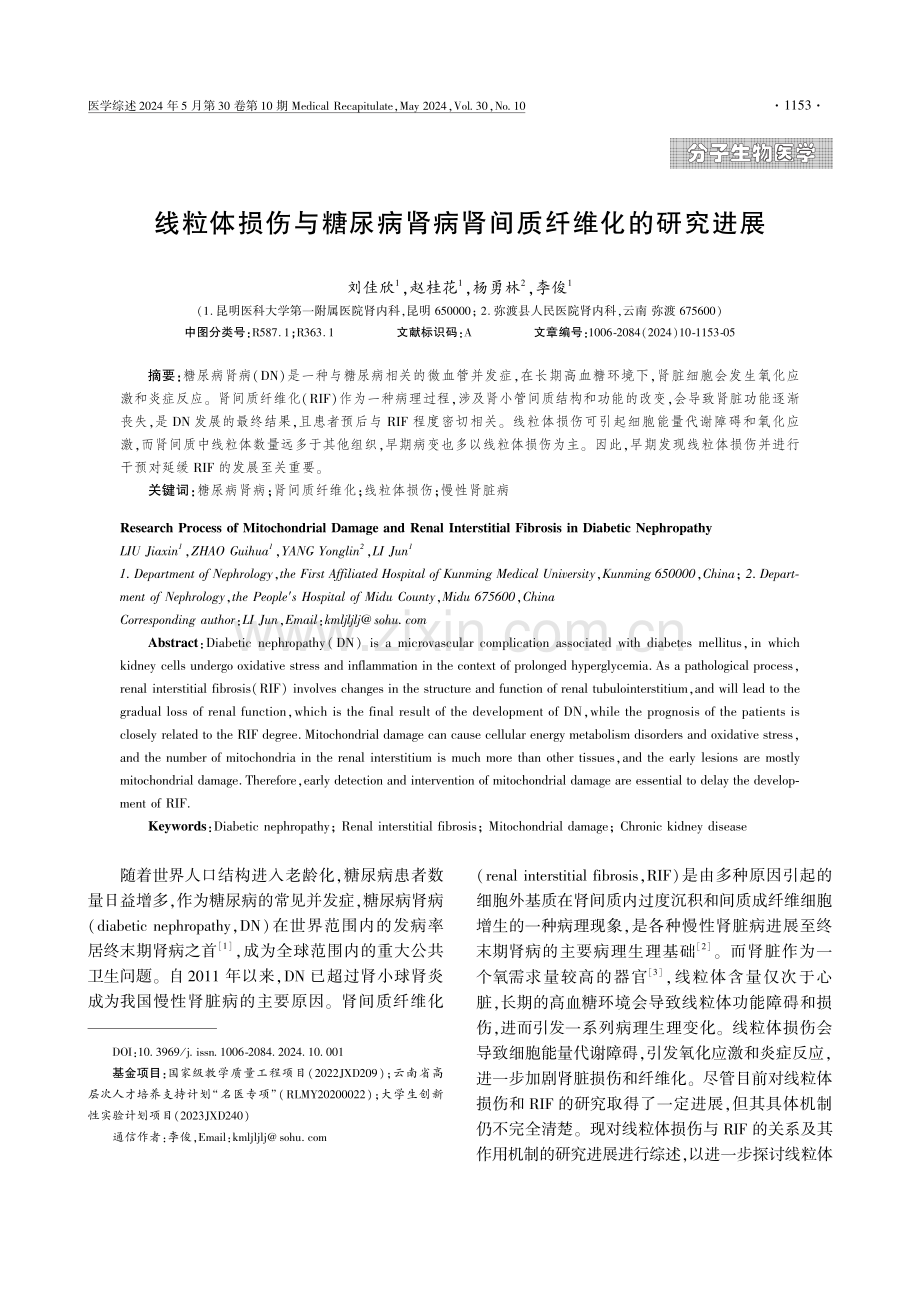 线粒体损伤与糖尿病肾病肾间质纤维化的研究进展 (1).pdf_第1页