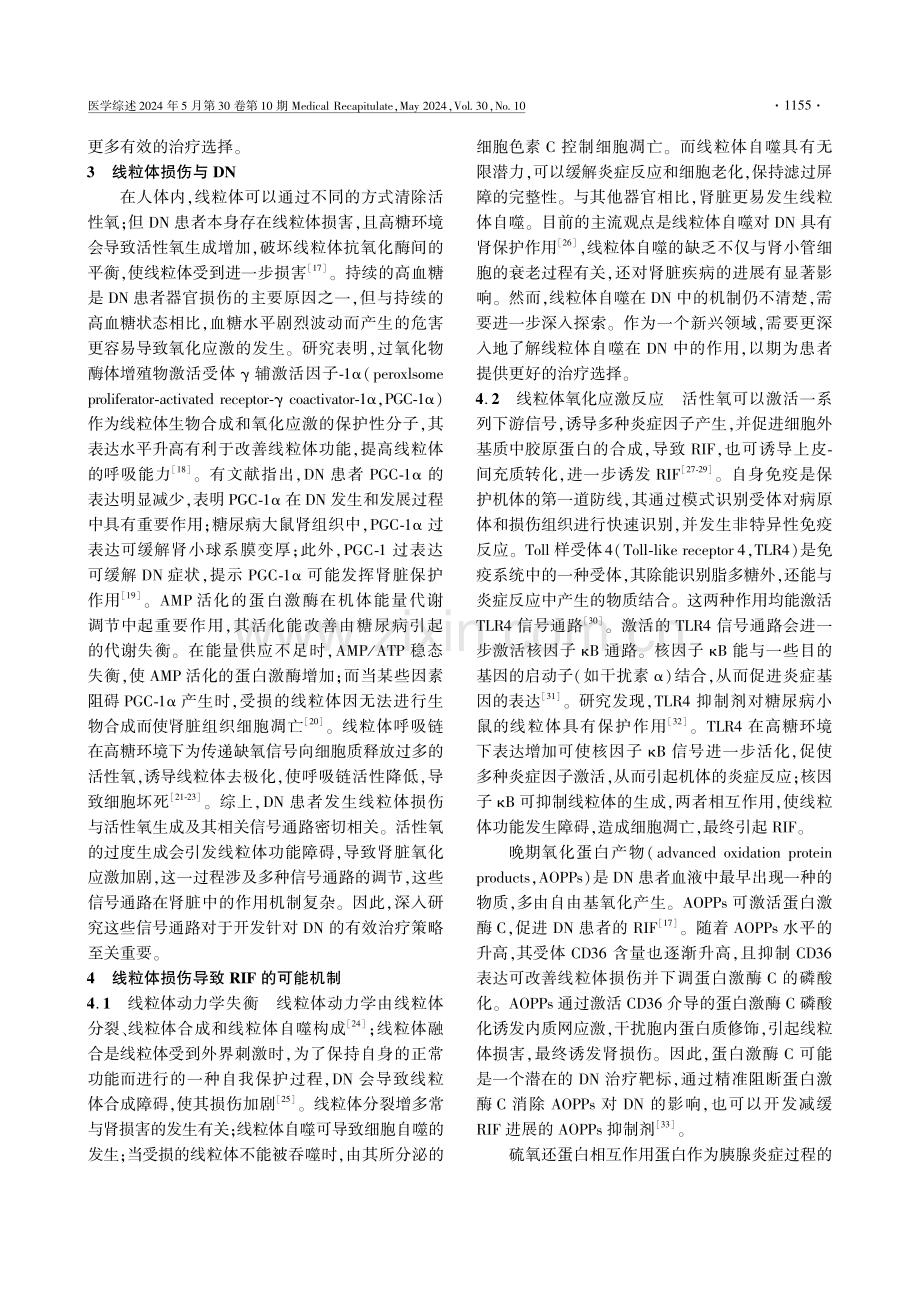 线粒体损伤与糖尿病肾病肾间质纤维化的研究进展 (1).pdf_第3页