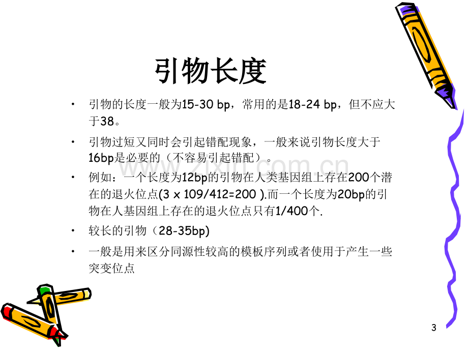 引物设计的一般原则.ppt_第3页