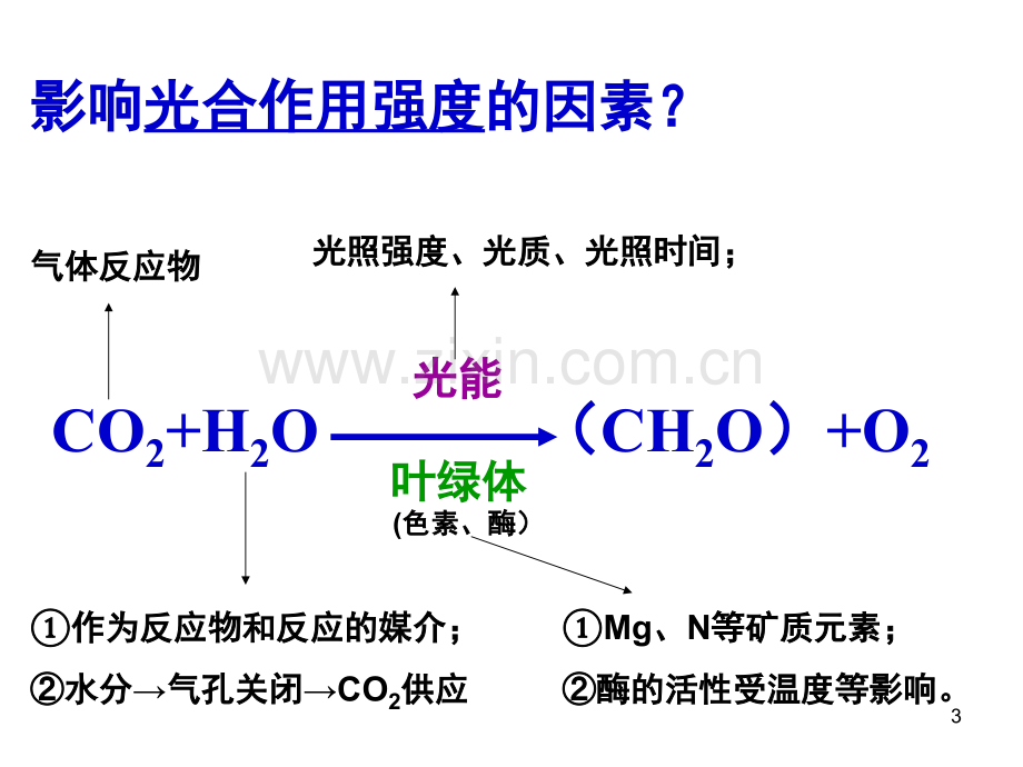 影响光合作用的因素和应用(一轮非常好)(课堂PPT).ppt_第3页