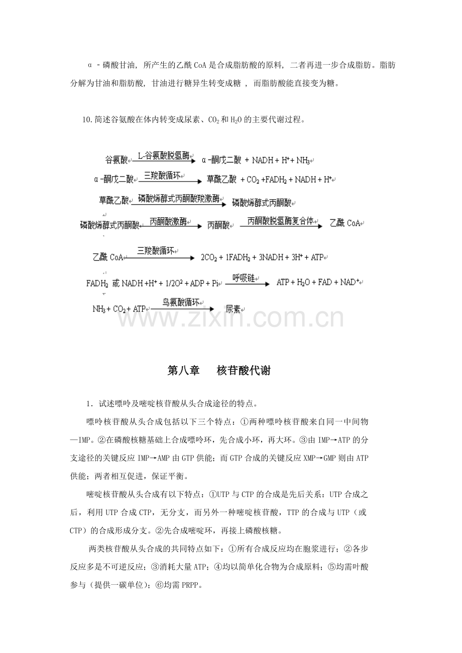 蛋白质分解代谢习题答案.doc_第3页