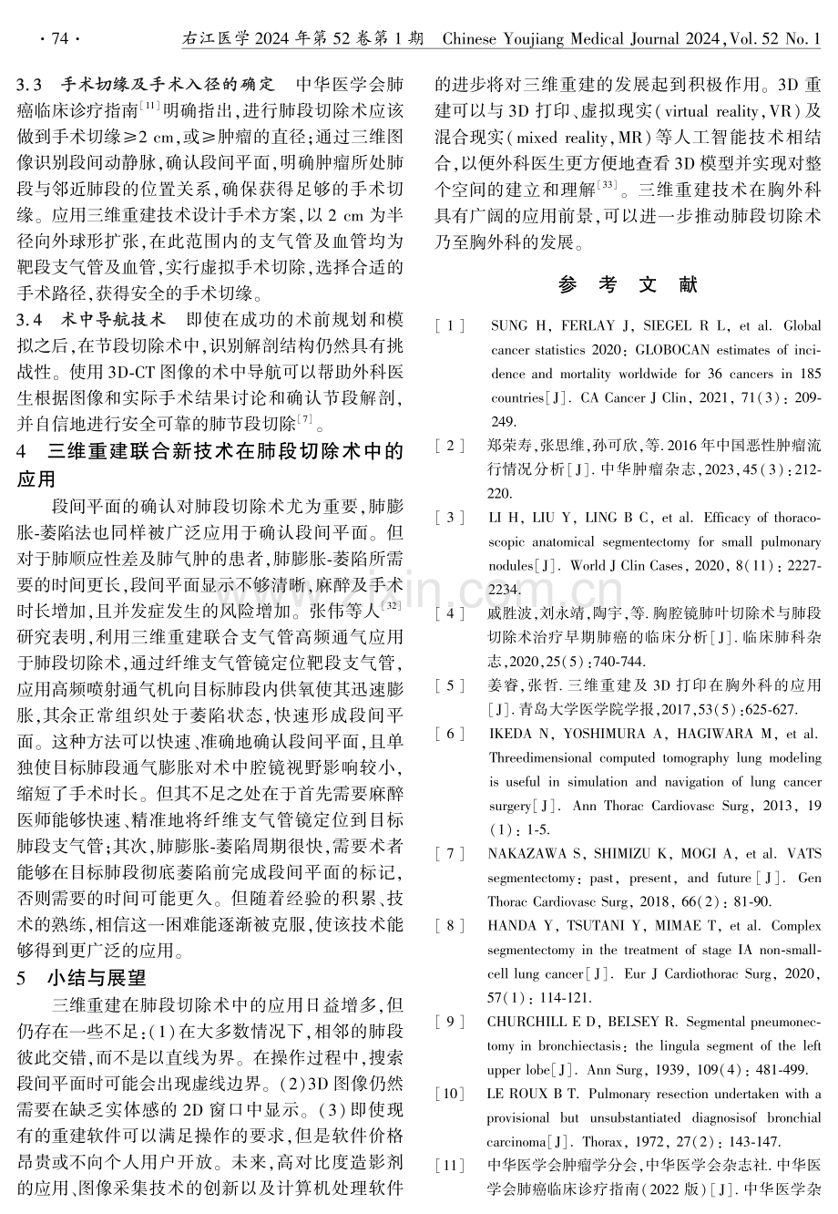 三维重建技术在肺段切除术中的应用研究进展.pdf_第3页