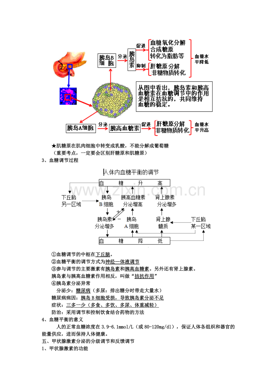 通过激素的调节(知识点笔记).doc_第2页