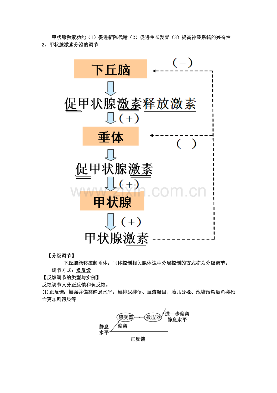 通过激素的调节(知识点笔记).doc_第3页