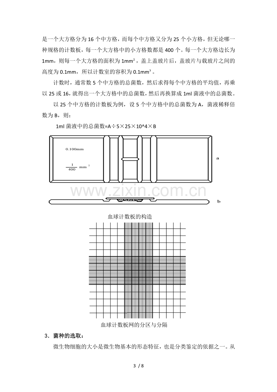 微生物大小及数量的测定.doc_第3页