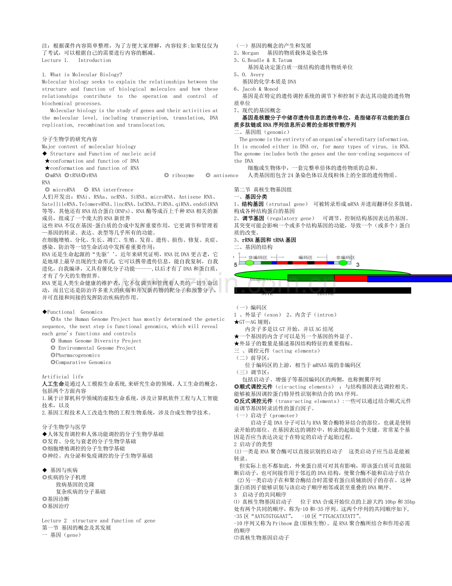 分子生物学课件整理.doc_第1页