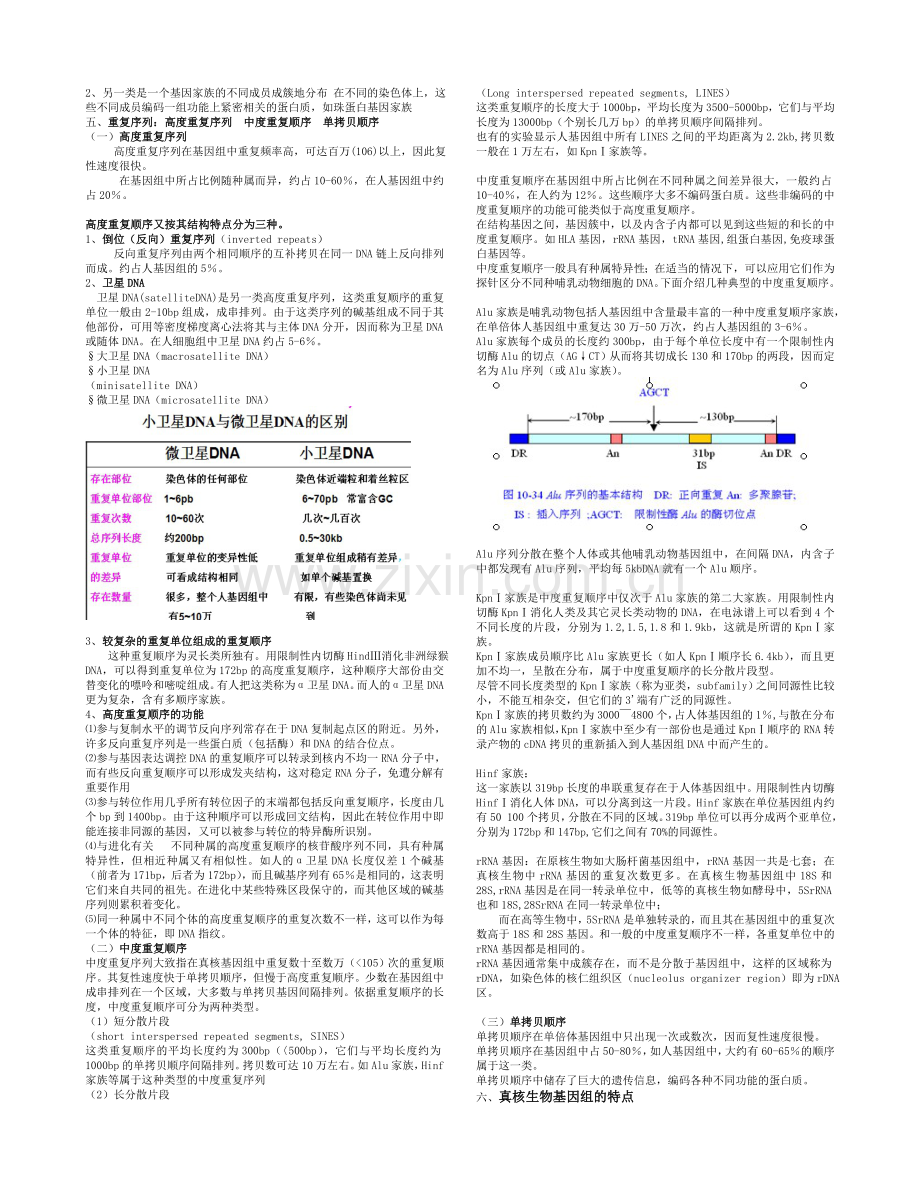 分子生物学课件整理.doc_第3页