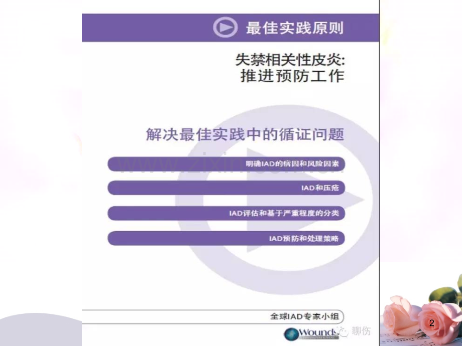 失禁性皮炎指南(课堂PPT).ppt_第2页