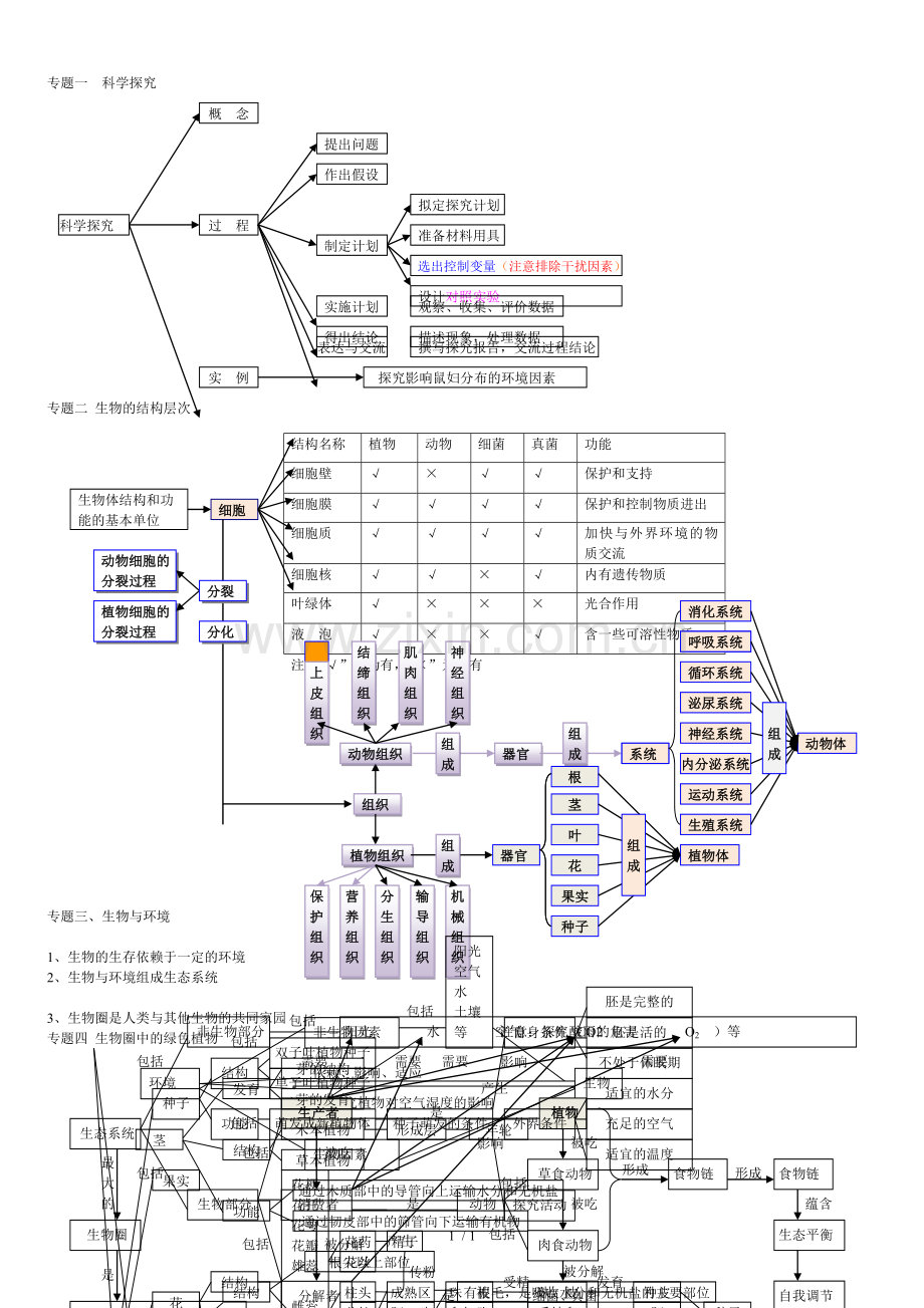 七上生物思维导图.doc_第1页