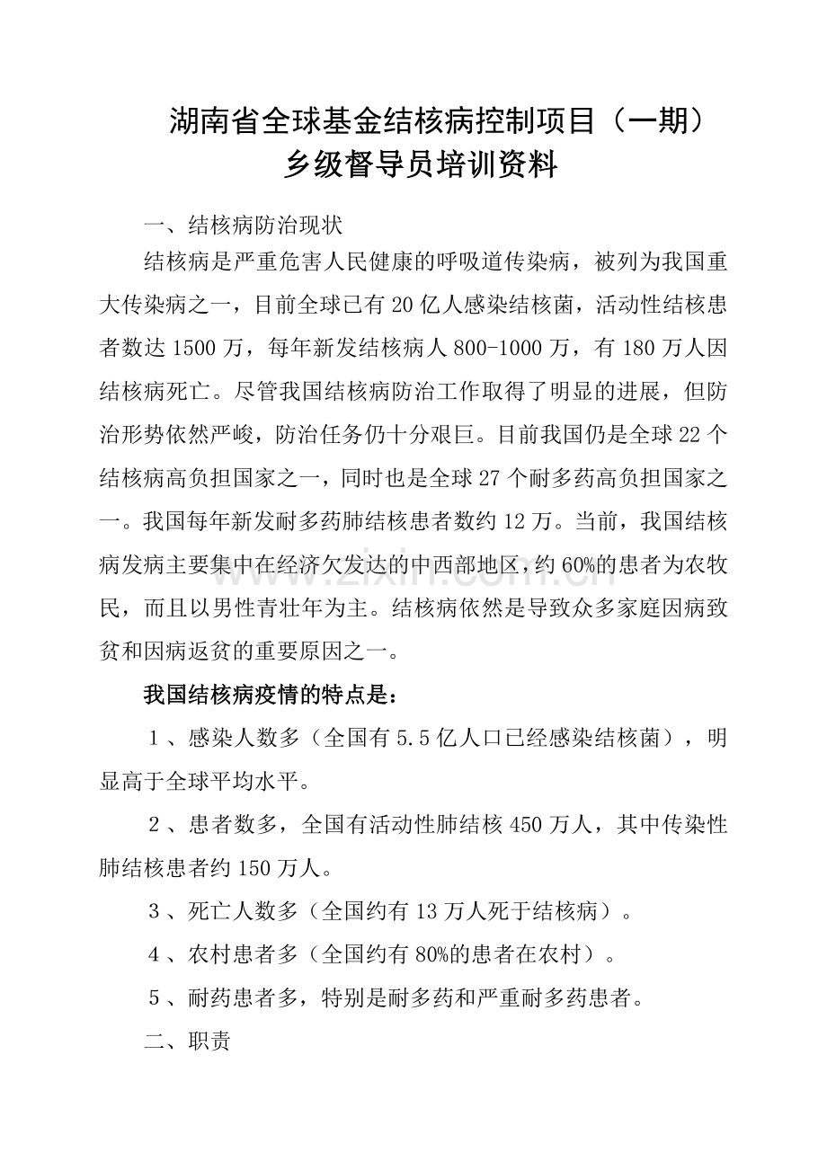 中国结核病防治规划实施工作指南(培训资料).doc_第1页