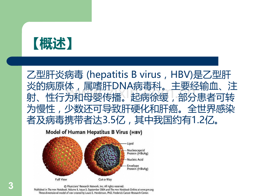 妊娠合并急性病毒性肝炎(课堂PPT).ppt_第3页