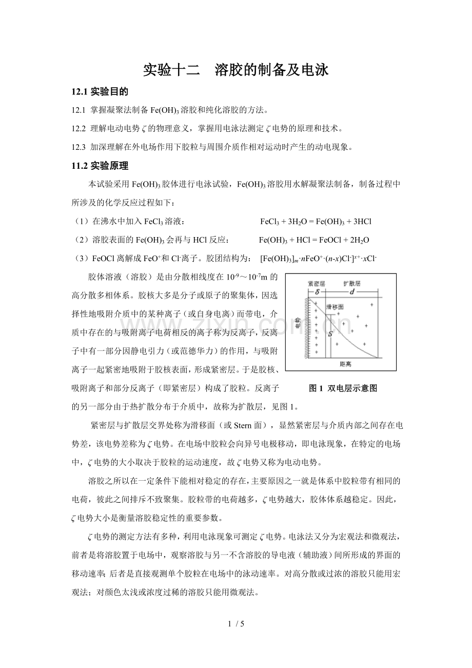 实验十二--溶胶的制备及电泳.doc_第1页