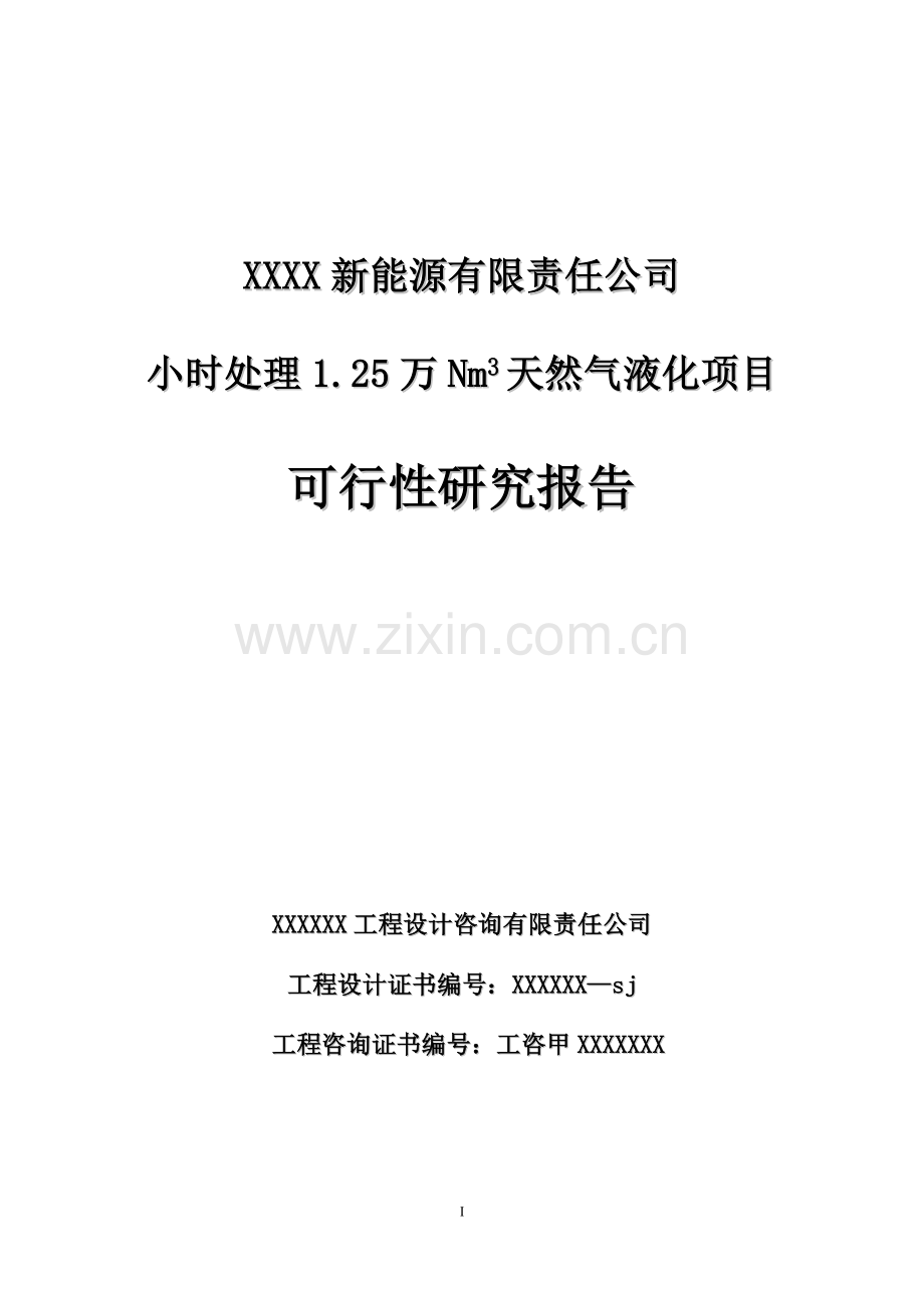 新能源有限责任公司小时处理1.25万Nm3天然气液化项目可行性研究报告.doc_第1页