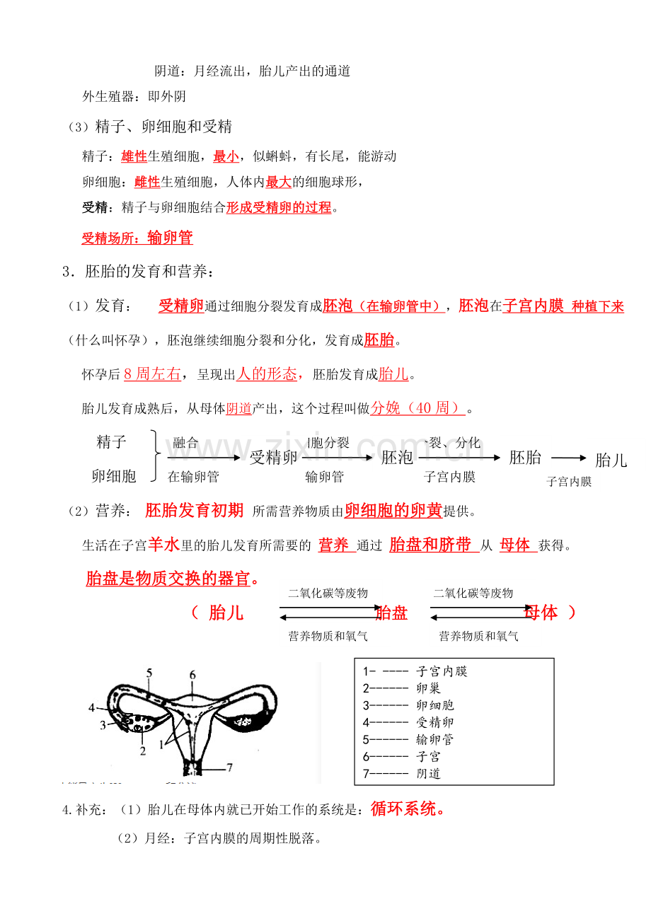 初中七年级生物前三章思维导图.doc_第2页