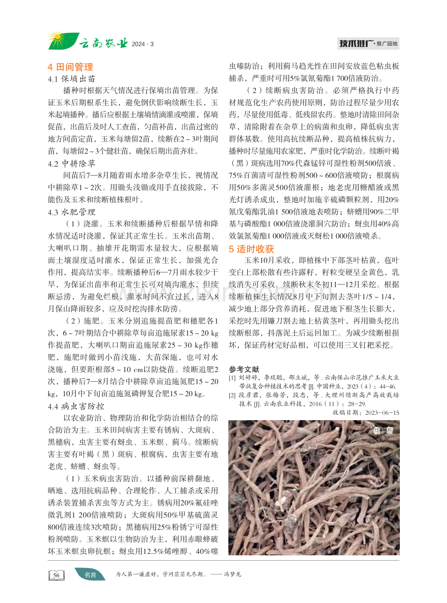 玉米续断带状复合种植.pdf_第2页