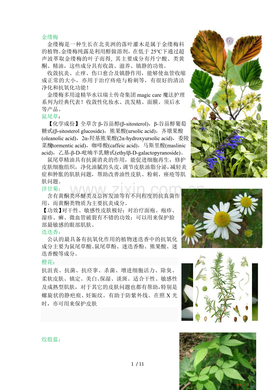 化妆品成分介绍.doc_第1页