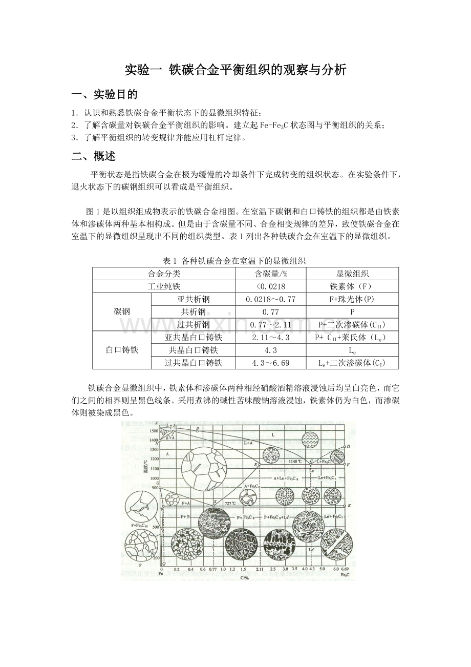 实验一-铁碳合金平衡组织的观察与分析.doc_第1页