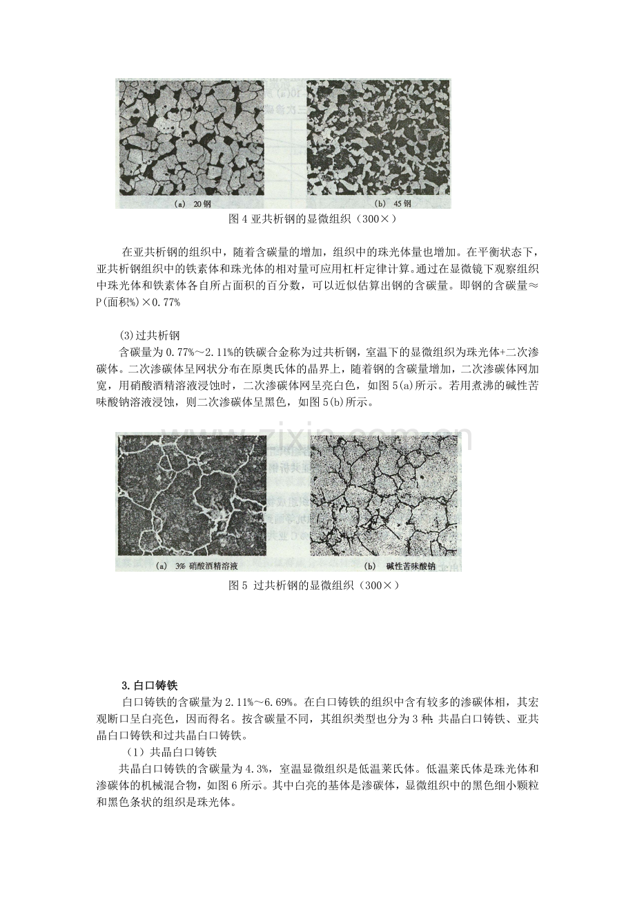 实验一-铁碳合金平衡组织的观察与分析.doc_第3页