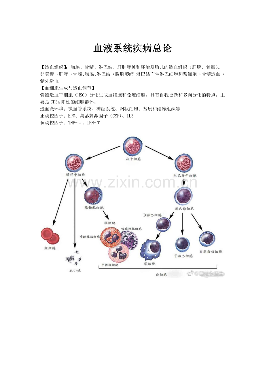 内科学-血液系统疾病总结.doc_第1页