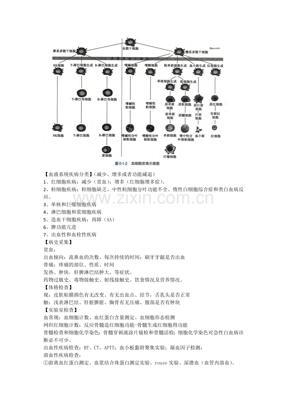 内科学-血液系统疾病总结.doc_第2页