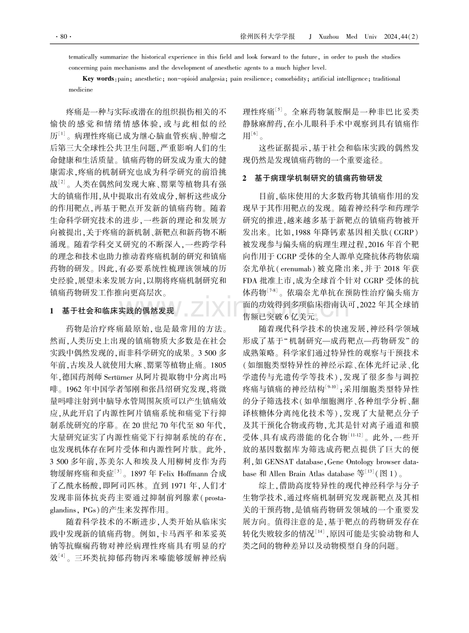 镇痛药物研发的潜在方向.pdf_第2页