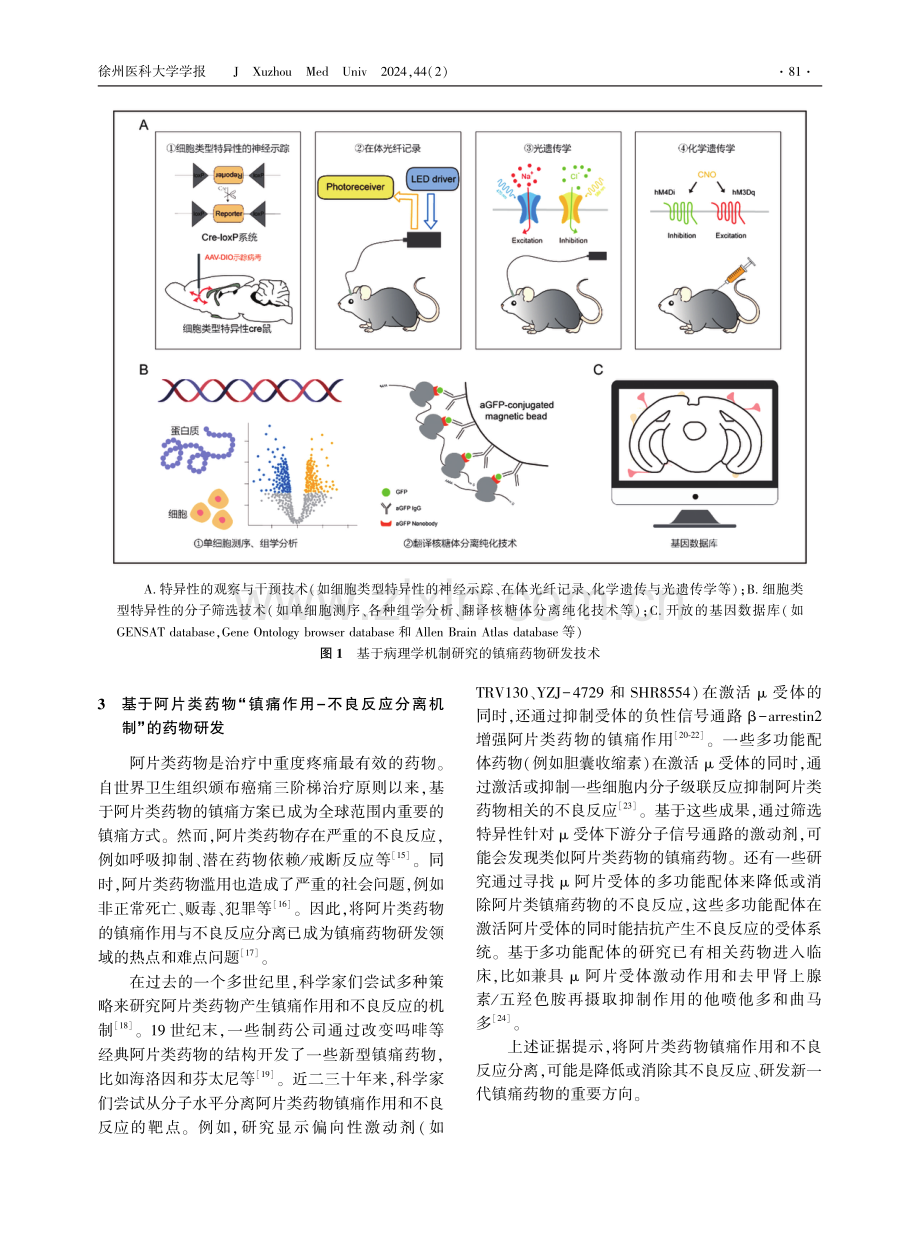 镇痛药物研发的潜在方向.pdf_第3页