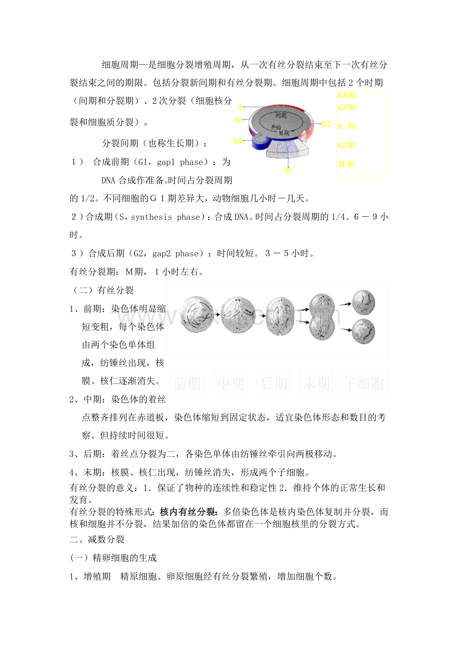 刘庆昌遗传学复习资料.doc_第2页