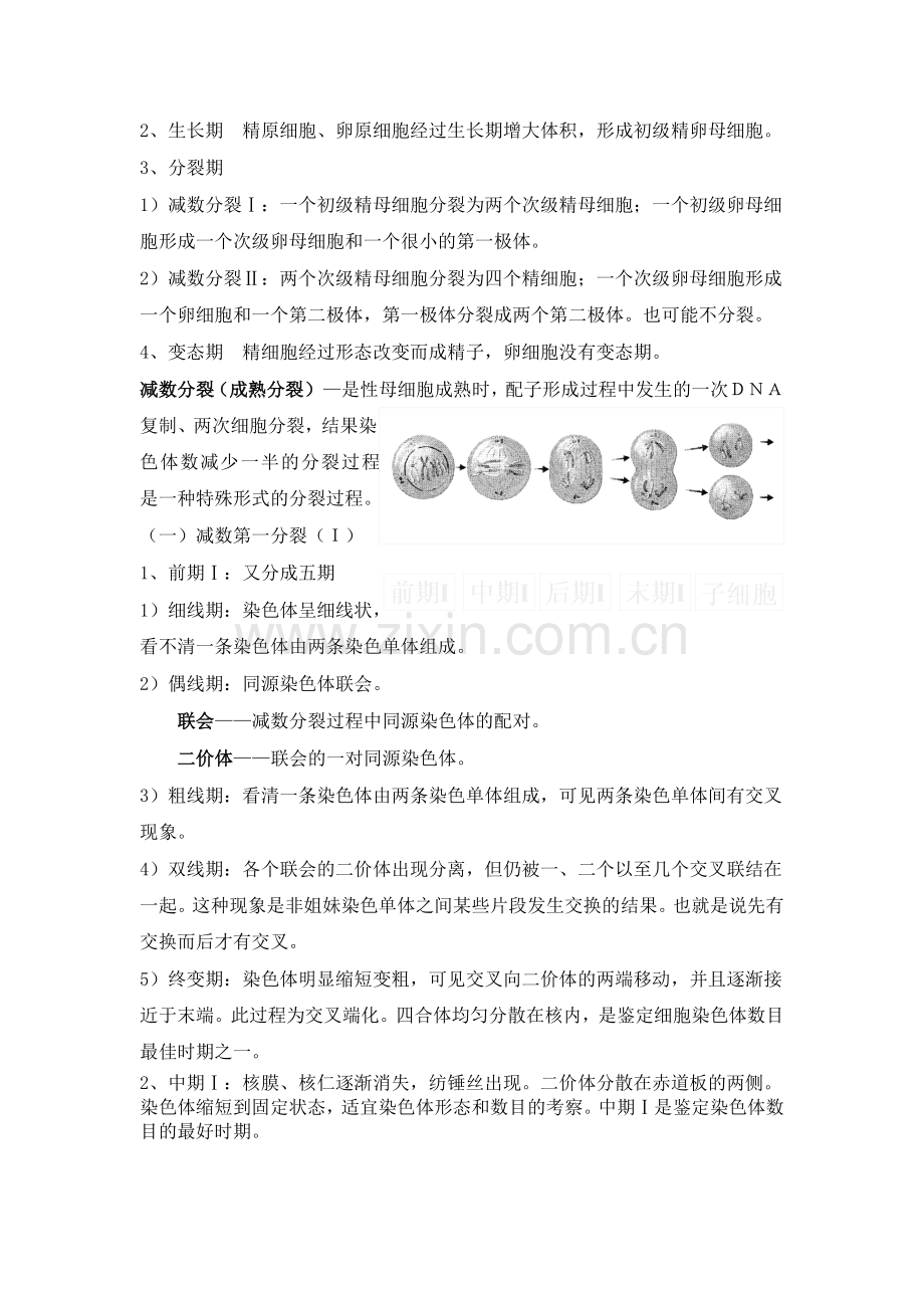 刘庆昌遗传学复习资料.doc_第3页