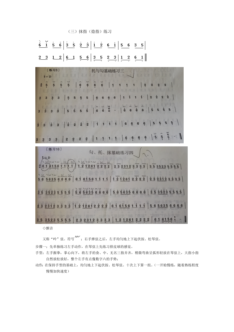 学习古筝的基础知识.doc_第3页