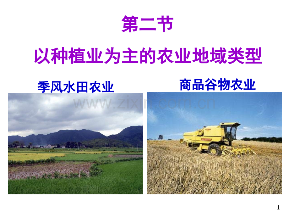 以种植业为主的农业地域类型(课堂PPT).ppt_第1页