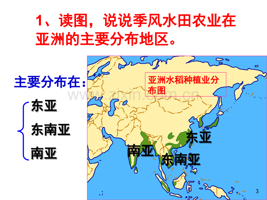 以种植业为主的农业地域类型(课堂PPT).ppt_第3页