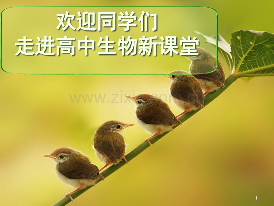 学习高中生物的方法(课堂PPT).ppt_第1页