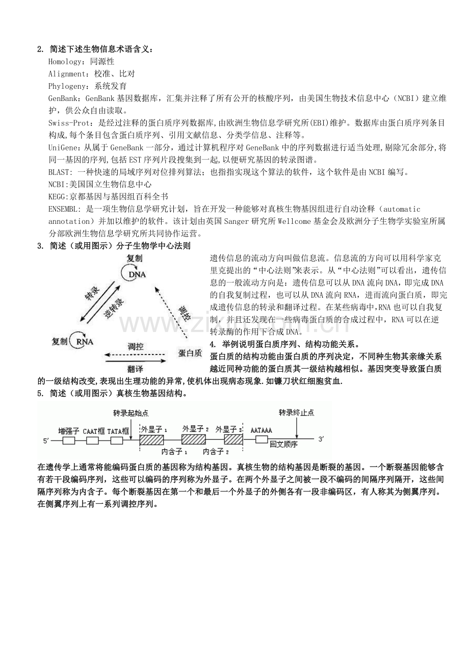 实用生物信息技术选课考试-答案.doc_第2页