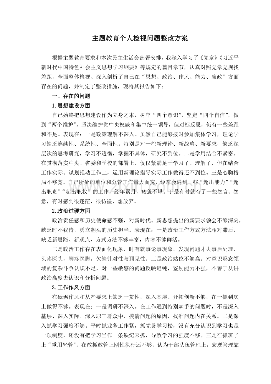 主题教育检视问题整改措施.doc_第1页