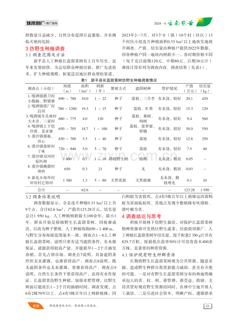 长蕊甜菜树仿野生种植调查.pdf_第2页