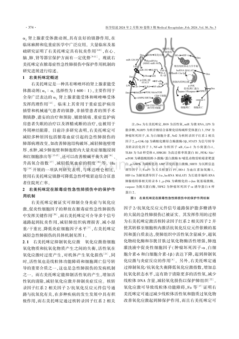 右美托咪定在脓毒症性急性肺损伤中保护作用机制的研究进展.pdf_第2页