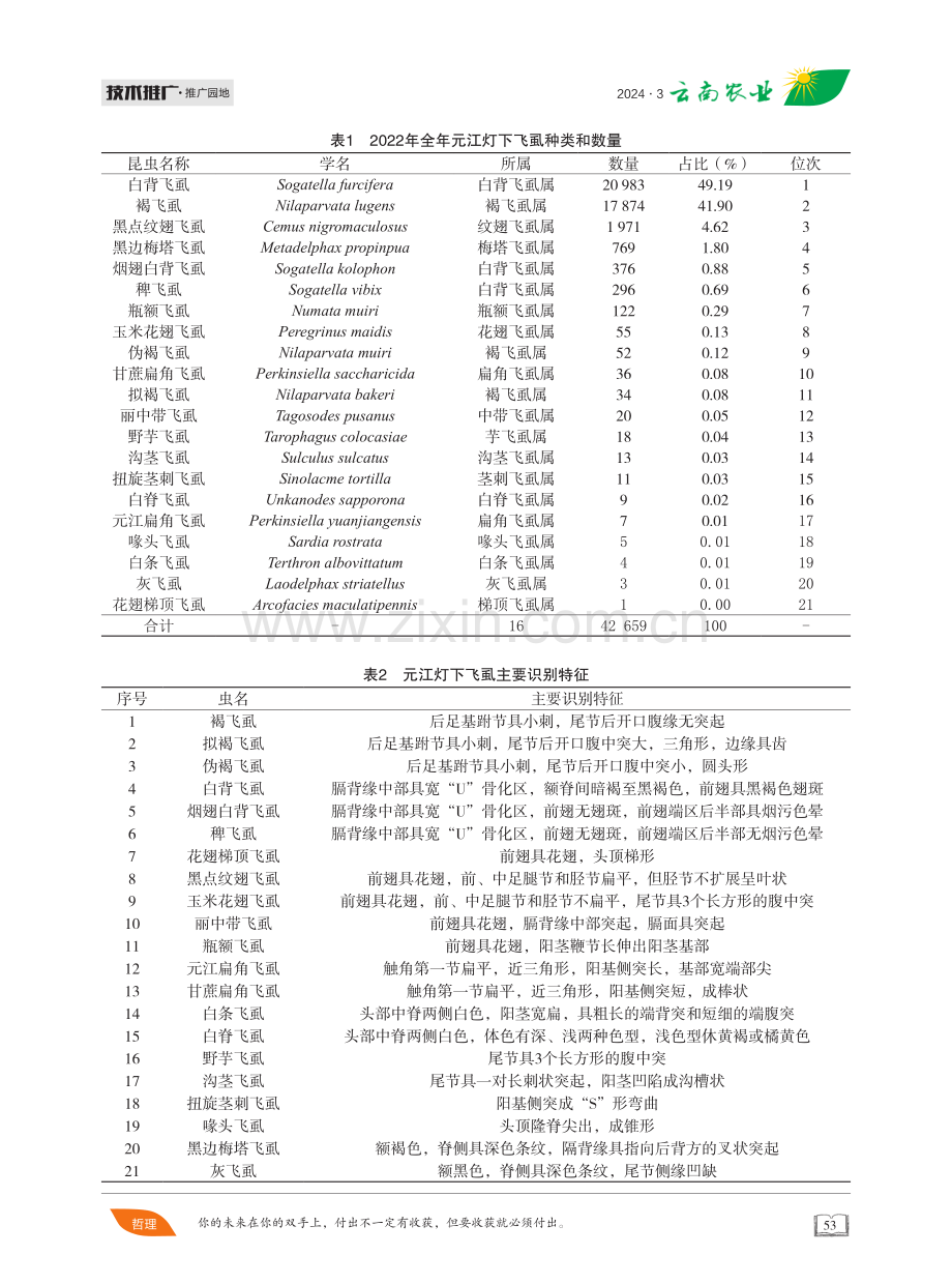 元江灯下飞虱种群调查.pdf_第2页