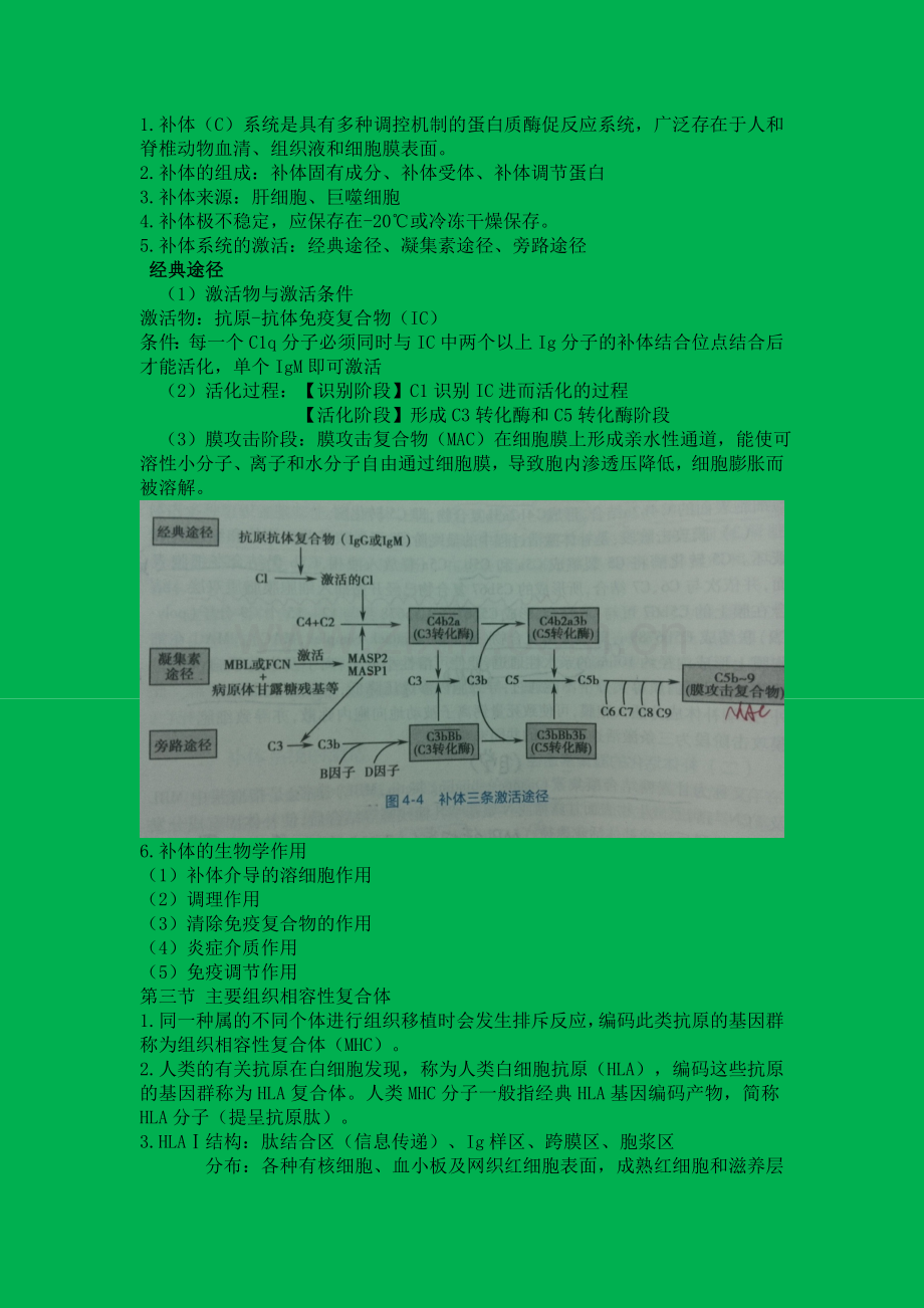 免疫学基础与病原生物学重点总结.doc_第1页